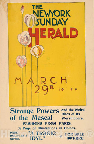 Vintage Poster -  The New York Sunday Herald, March 29th 1896, Historic Wall Art