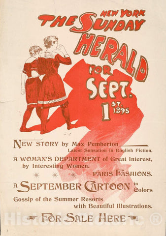 Vintage Poster -  The New York Sunday Herald for Sept. 1st 1895, Historic Wall Art