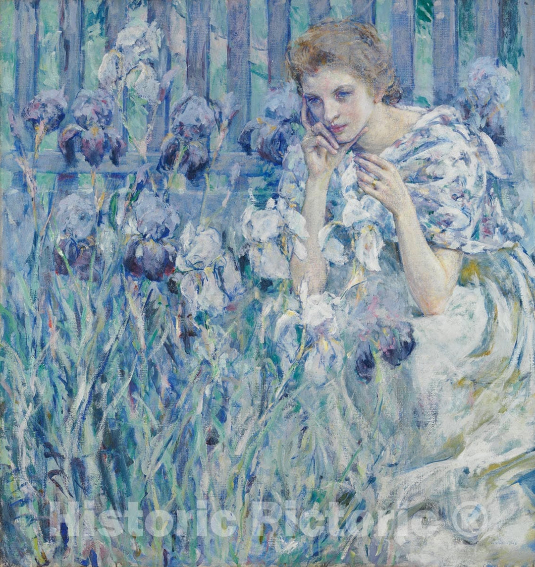 Art Print : Robert Reid - Fleur de Lis : Vintage Wall Art