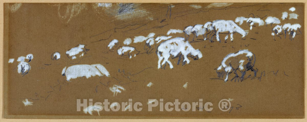 Art Print : Winslow Homer - Sheep : Vintage Wall Art