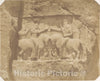 Photo Print : Luigi Pesce - Bas Relief at Nakshi Rustam : Vintage Wall Art