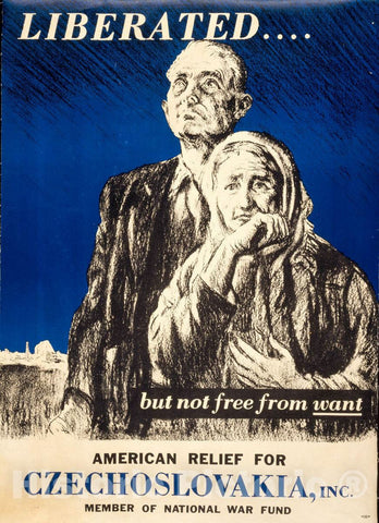Vintage Poster -  Liberated but not Free from Want, Historic Wall Art