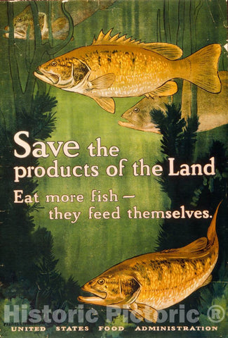Vintage Poster -  Save The Products of The Land - Eat More Fish - They Feed Themselves United States Food Administration, Historic Wall Art