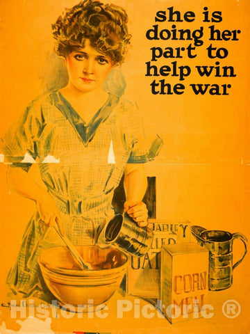 Vintage Poster -  She is Doing her Part to Help Win The war -  Howard Chandler Christy 1918., Historic Wall Art