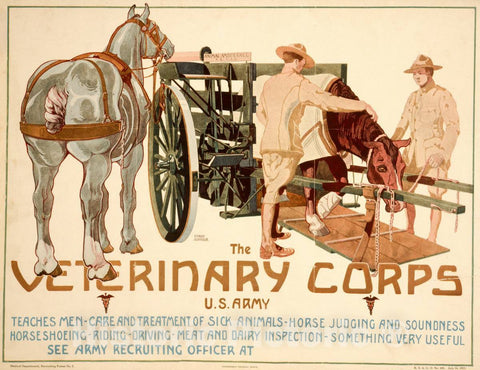 Vintage Poster -  The Veterinary Corps, U.S. Army, Teaches Men Care and Treatment of Sick Animals; Horse Judging and Soundness; Horseshoeing; Riding; Driving, Historic Wall Art