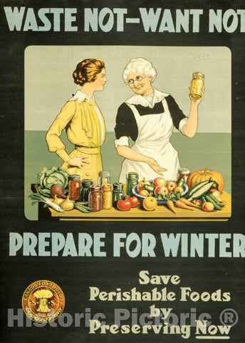 Vintage Poster -  Waste not, Want not -  Prepare for Winter, Historic Wall Art