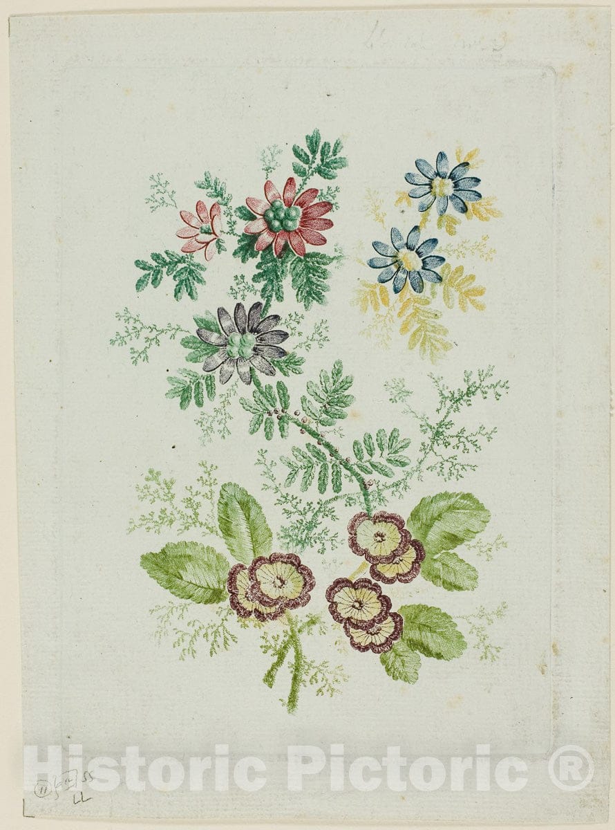 Art Print : Flowers, Anne Allen, c.1802, Vintage Wall Decor :