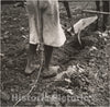 Photo Print : Dorothea Lange - Alabama Plow Girl, Near Eutaw, Alabama : Vintage Wall Art