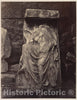 Photo Print : William James Stillman - Fragment from Balustrade of The Temple of Athena Nike, Acropolis, Athens : Vintage Wall Art