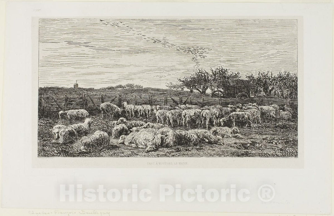 Art Print : Meadow with sheep, Charles FranÃ§ois Daubigny, c 1866, Vintage Wall Decor :