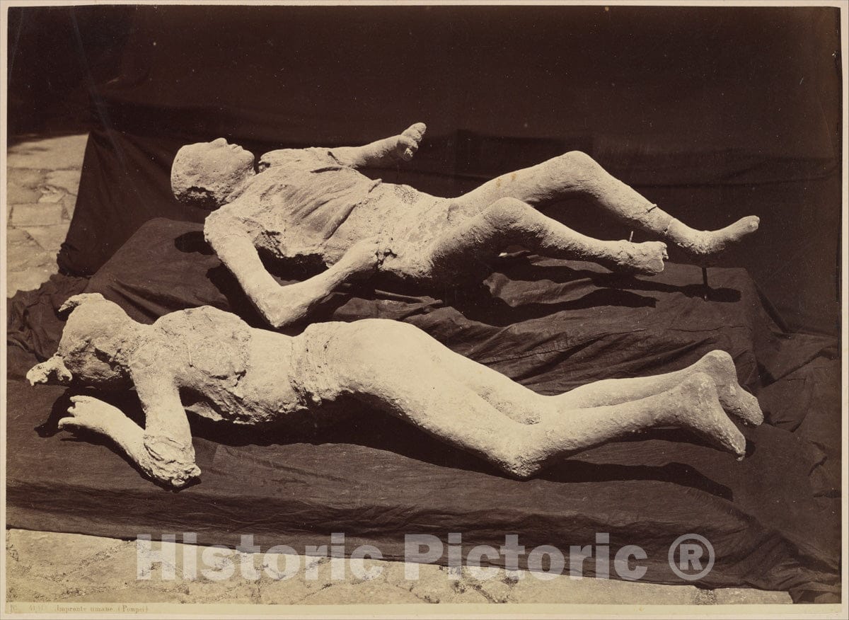 Photo Print : Giorgio Sommer - Plaster Casts of Bodies, Pompeii : Vintage Wall Art