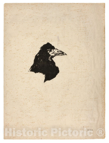 Art Print : Head of a Raven in Profile, from The Raven (Le Corbeau), edouard Manet, c 1895, Vintage Wall Decor :