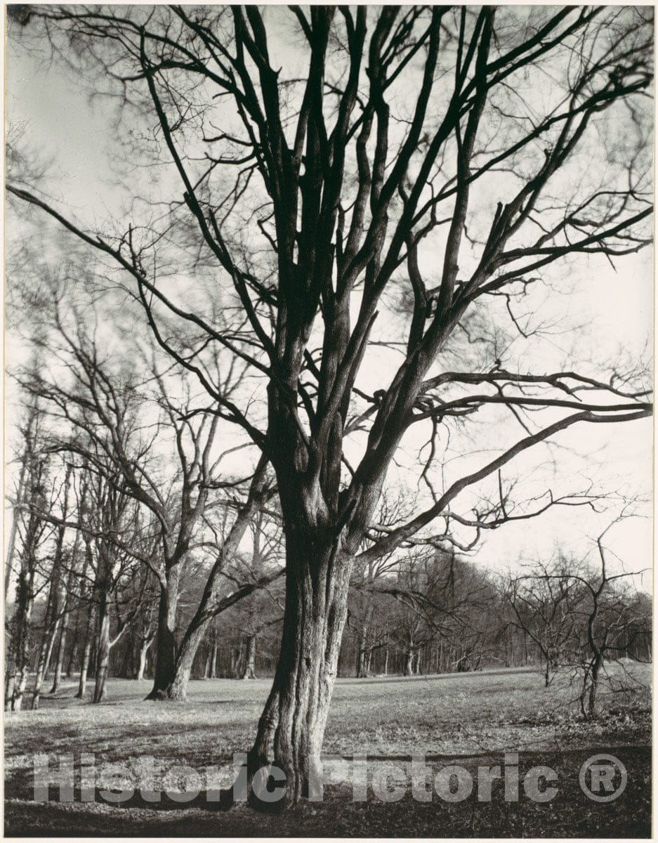 Photo Print : Eugène Atget - Environs of Paris : Vintage Wall Art