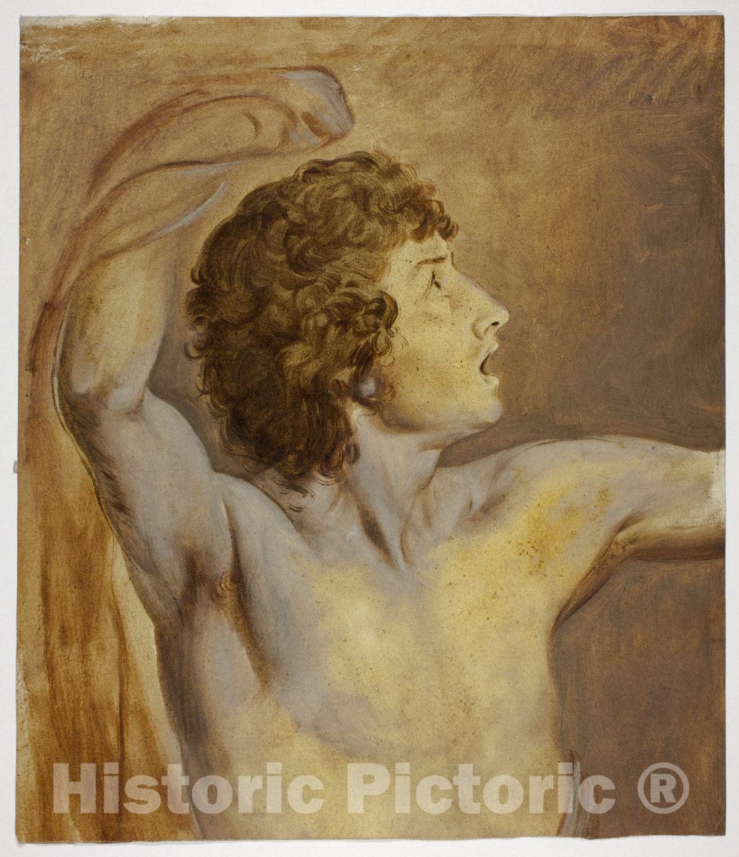 Art Print : Study after Nature, John Downman, c.1771, Vintage Wall Decor :