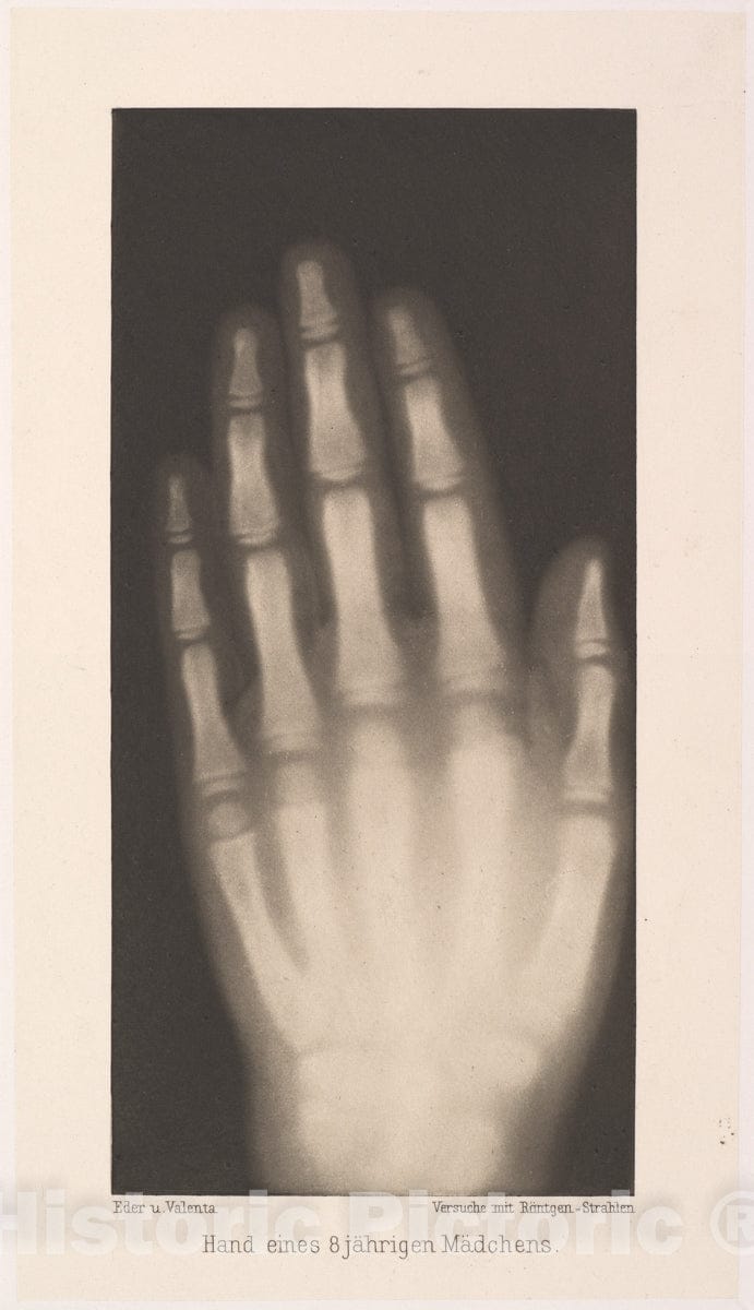 Art Print : Josef Maria Eder - Hand eines 8 jährigen Mädchens : Vintage Wall Art