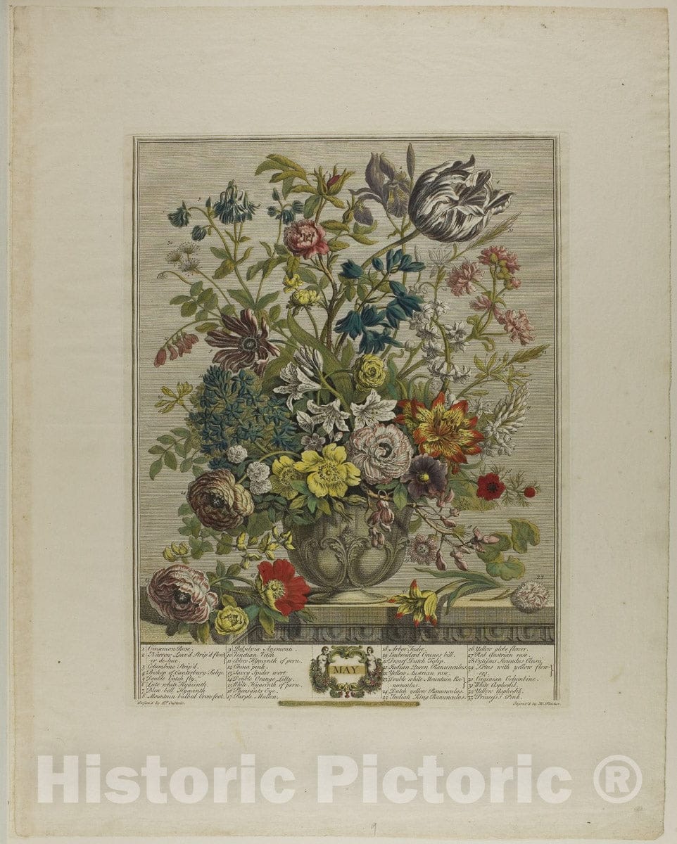 Art Print : May, from Twelve Months of Flowers, Henry Fletcher, c 1805, Vintage Wall Decor :