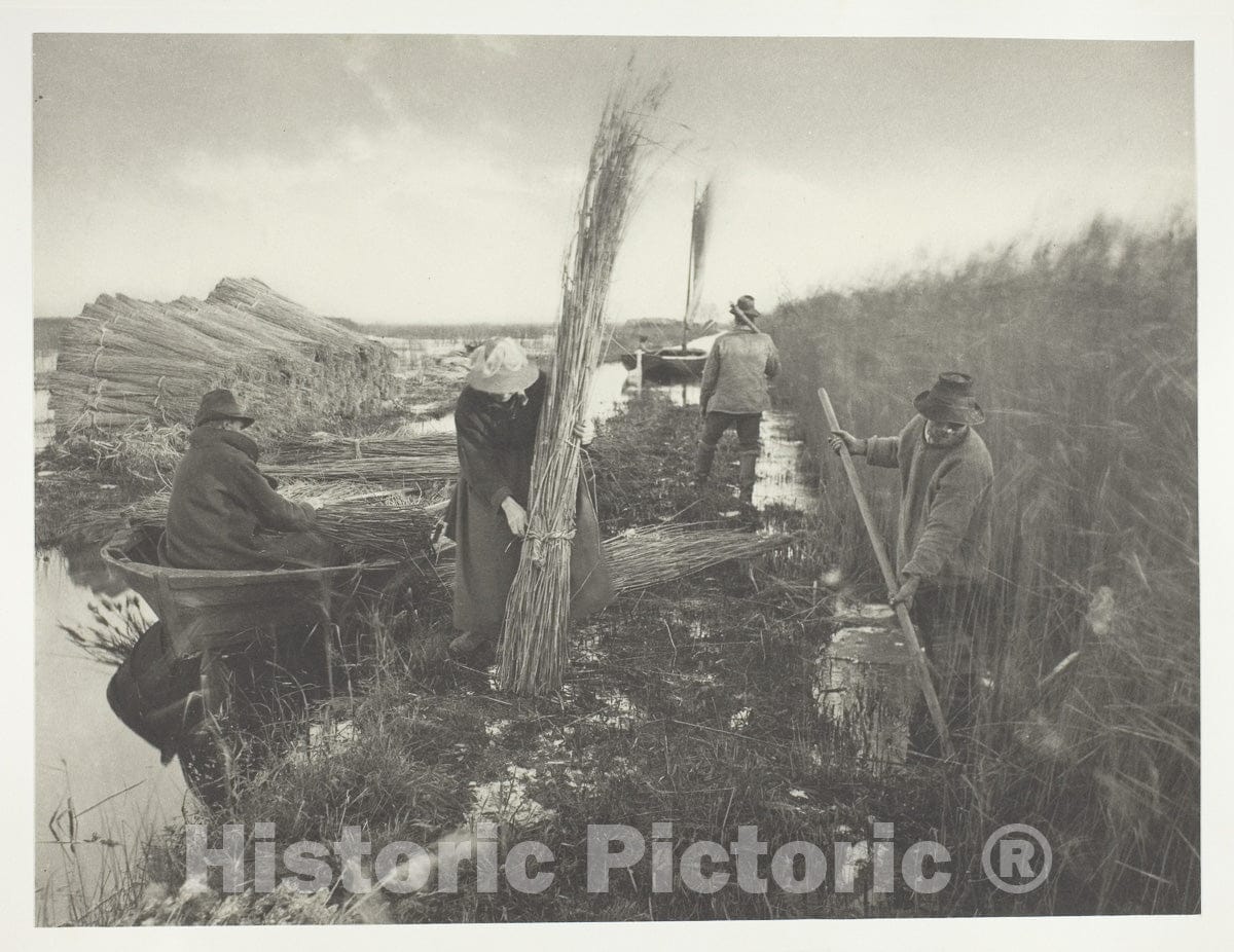 Art Photo : During the Reed Harvest, Peter Henry Emerson, c 1971, Vintage Wall Decor :