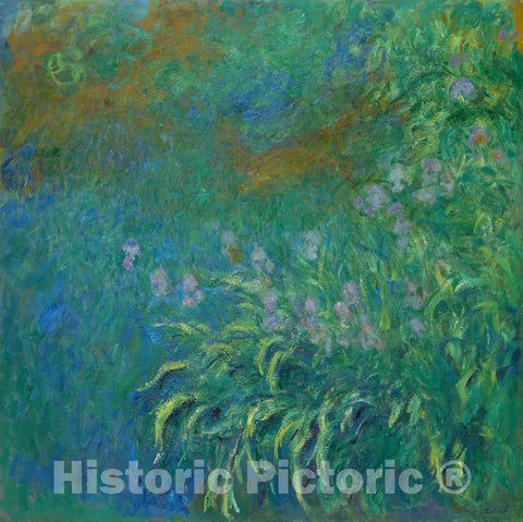 Art Print : Irises, Claude Monet, c 1920, Vintage Wall Decor :