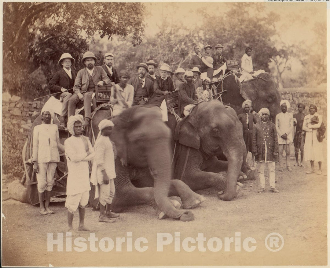 Photo Print : Elephant Group : Vintage Wall Art