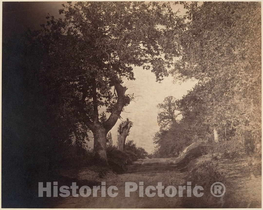 Photo Print : Gustave Le Gray - Fontainebleau, chemin sablonneux Montant : Vintage Wall Art