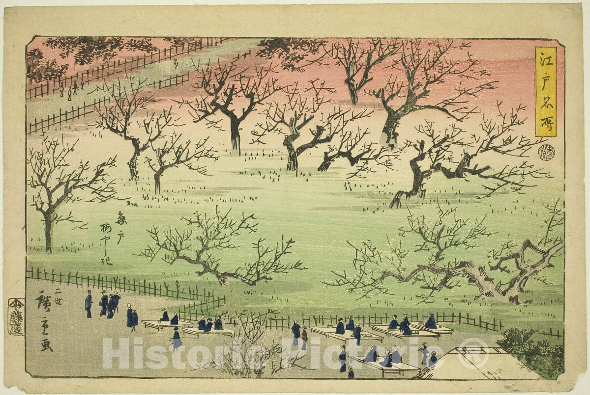 Art Print : Plum Garden at Kameido (Kameido Umeyashiki), from the series "Famous Places in Edo (Edo meisho)", Utagawa Hiroshige II (Shigenobu), c 1797, Vintage Wall Decor :