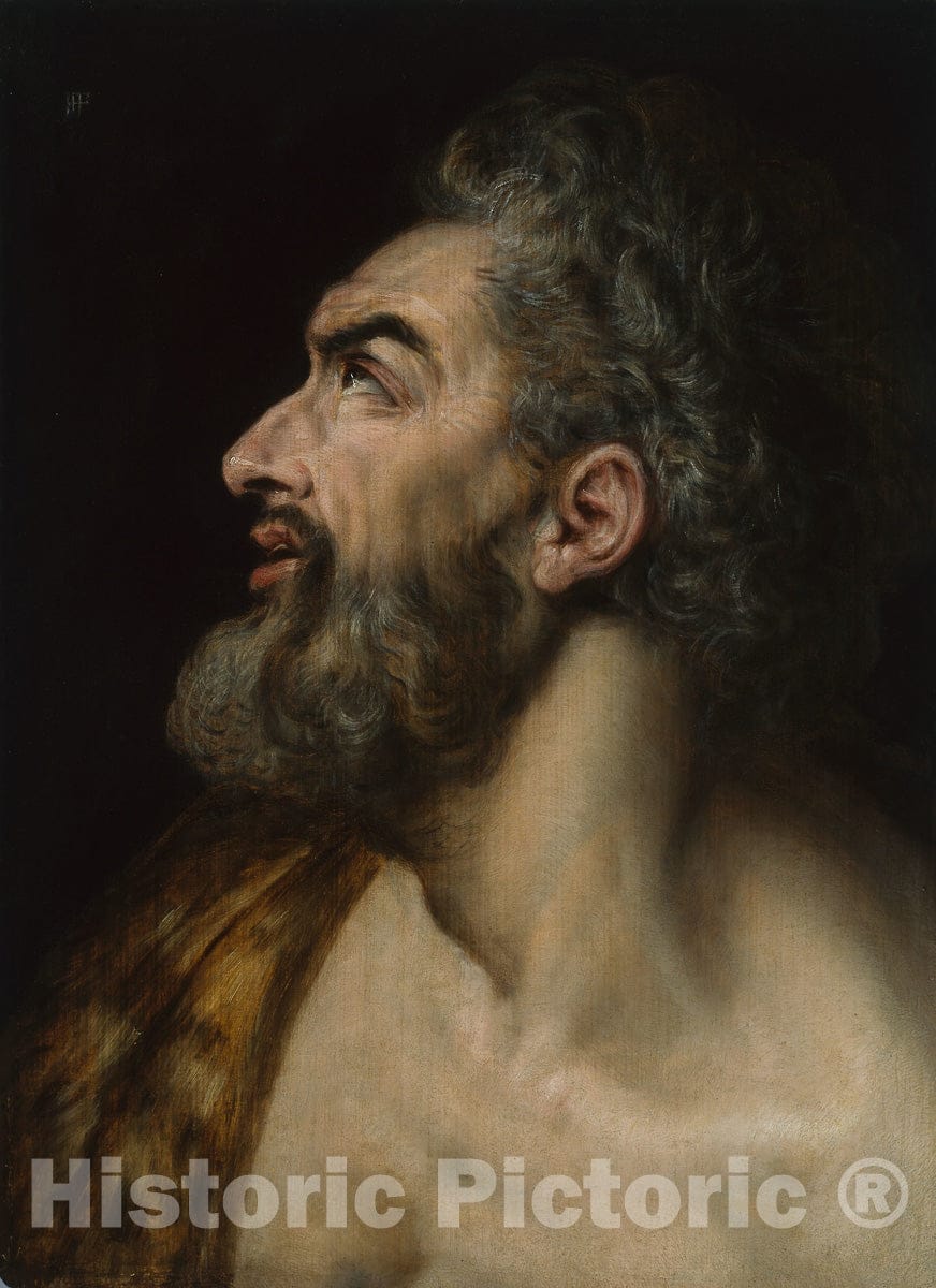 Art Print : Study Head of a Bearded Man, Frans Floris, I, c 1501, Vintage Wall Decor :