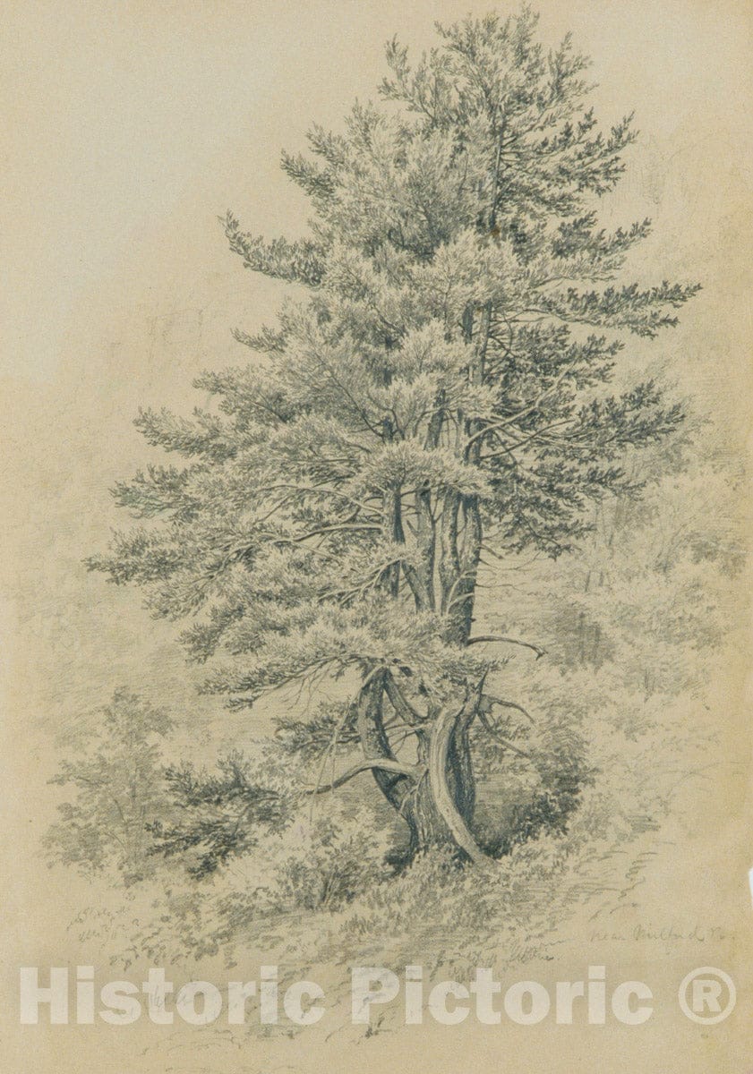 Art Print : Edmund Birckhead Bensell - Trees, Near Milford, Pa. : Vintage Wall Art