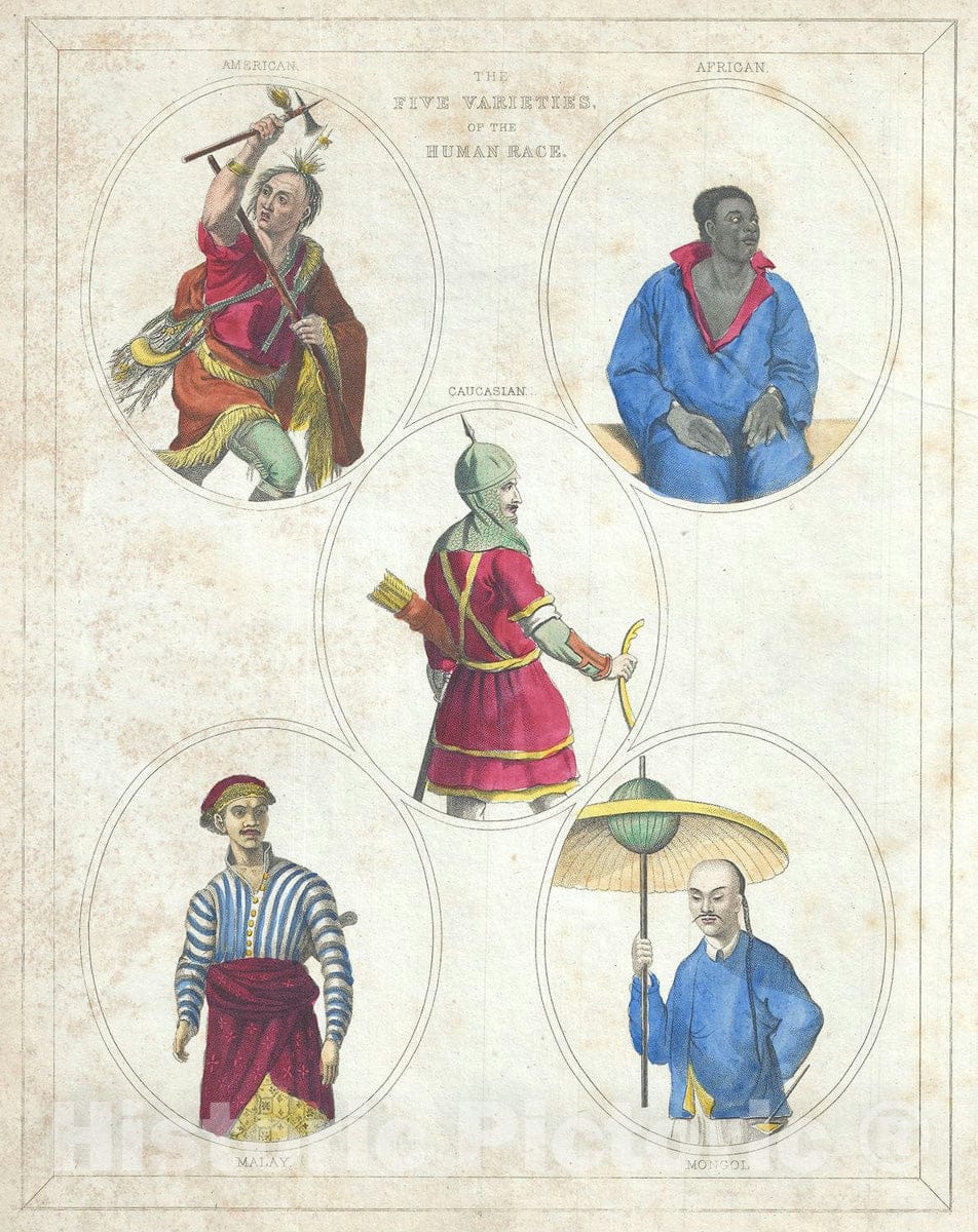 Art Print : Chart Illustrating The Five Varieties of The Human Race, B ...