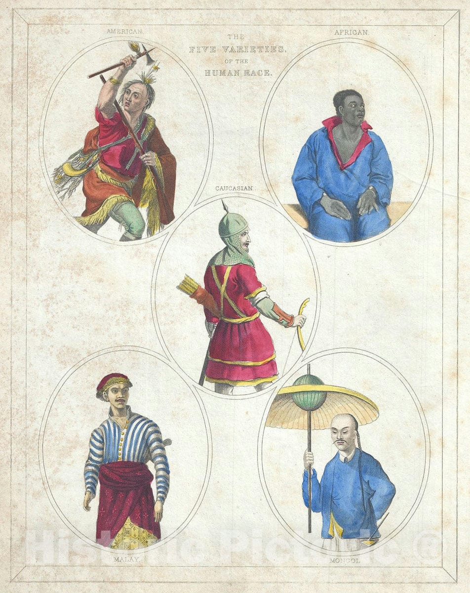 Art Print : Chart Illustrating The Five Varieties of The Human Race, Bradford, 1835, Vintage Wall Art