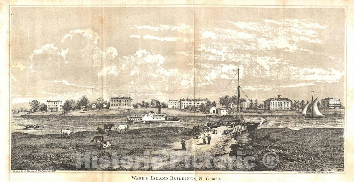 Art Print : Ward's Island, New York City, Valentine's, 1860, Vintage Wall Art