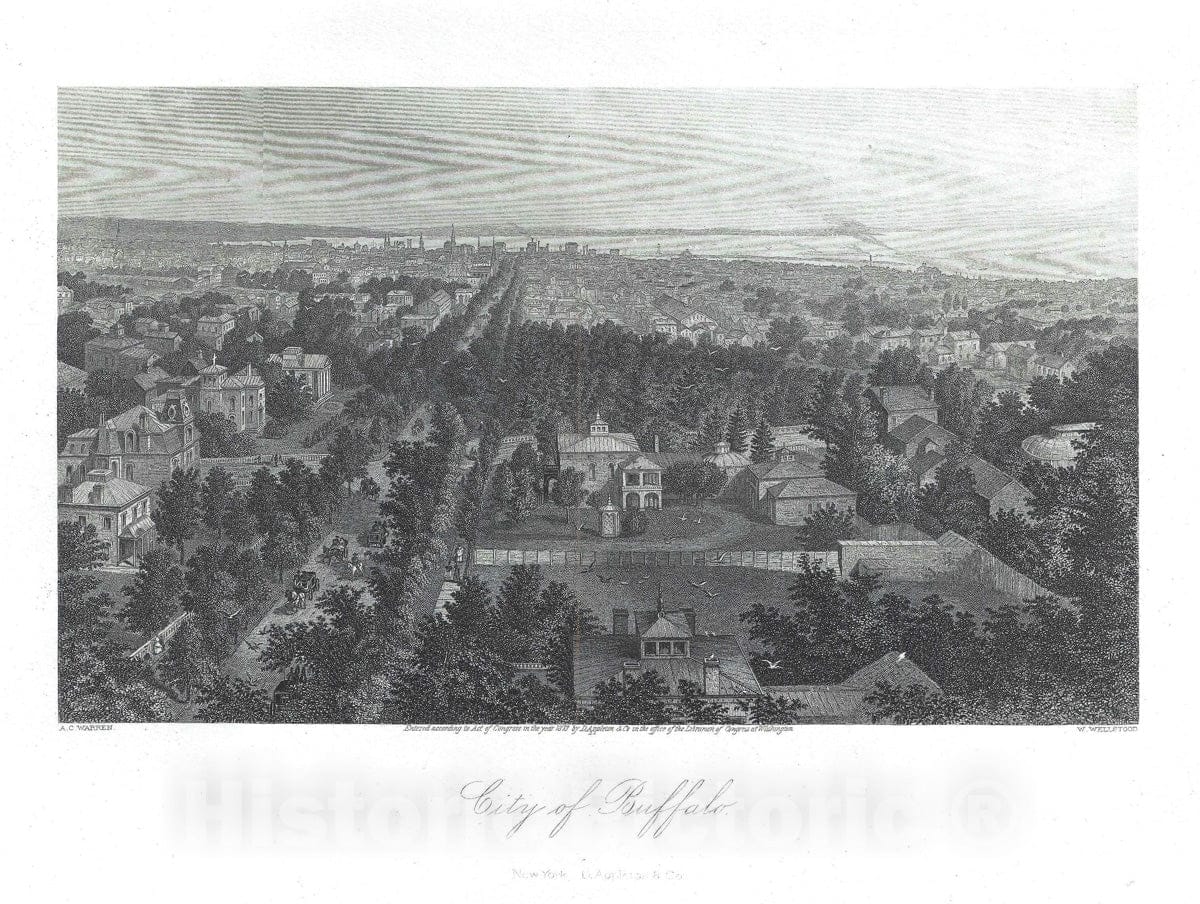 Art Print : Buffalo, New York, Warren, 1873, Vintage Wall Art