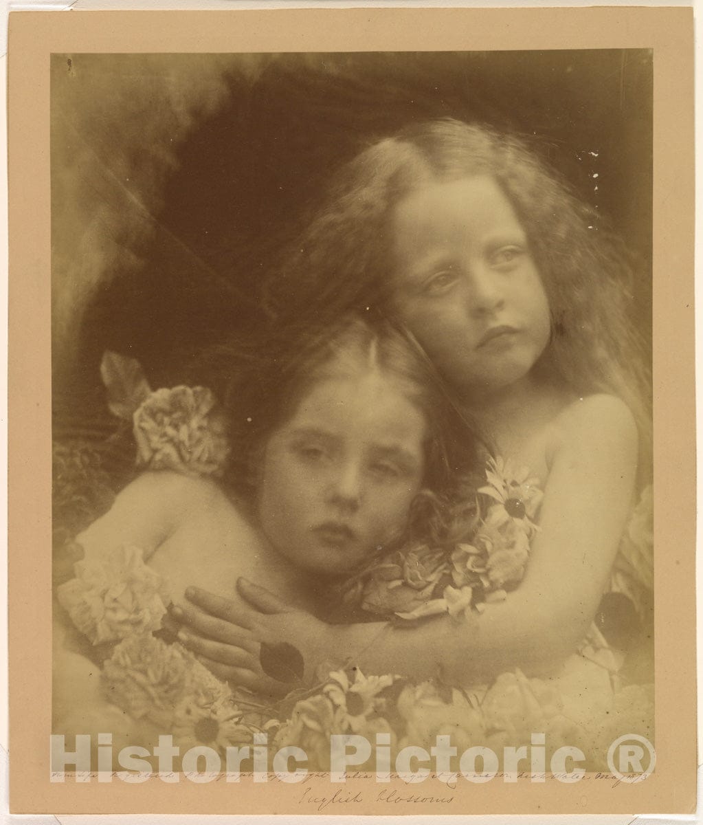 Photo Print : Julia Margaret Cameron - English Blossoms : Vintage Wall Art