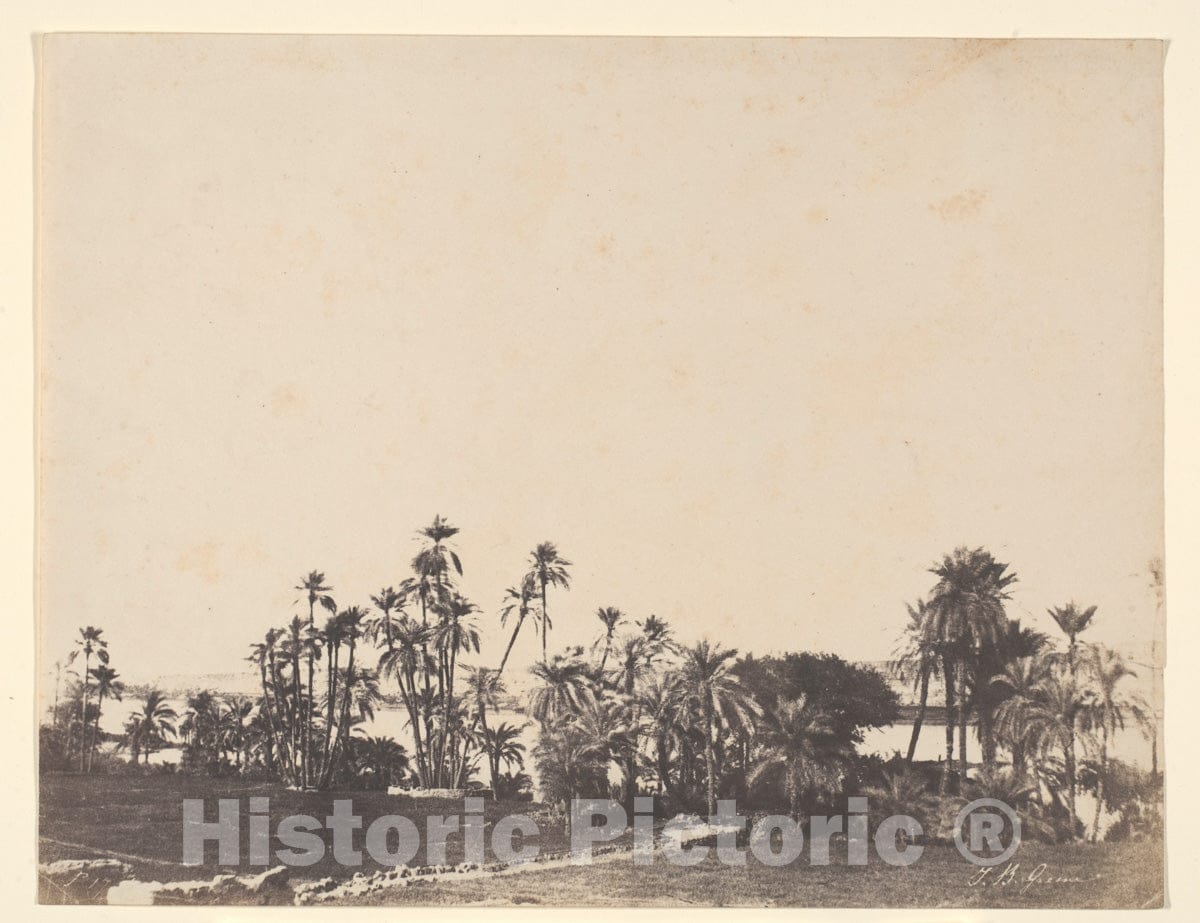 Photo Print : John Beasley Greene - Etude de Palmiers, Bords du Nil, Kalabschi : Vintage Wall Art