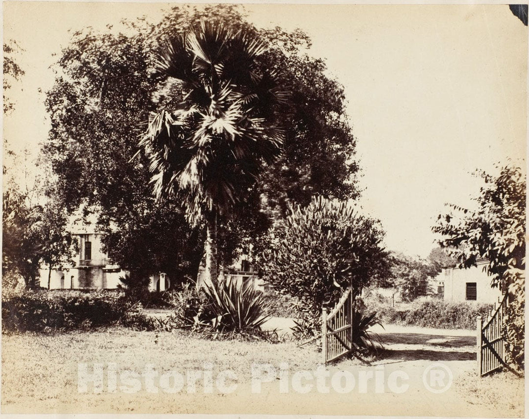 Photo Print : Captain R. B. Hill - Gate Leading into Our House : Vintage Wall Art