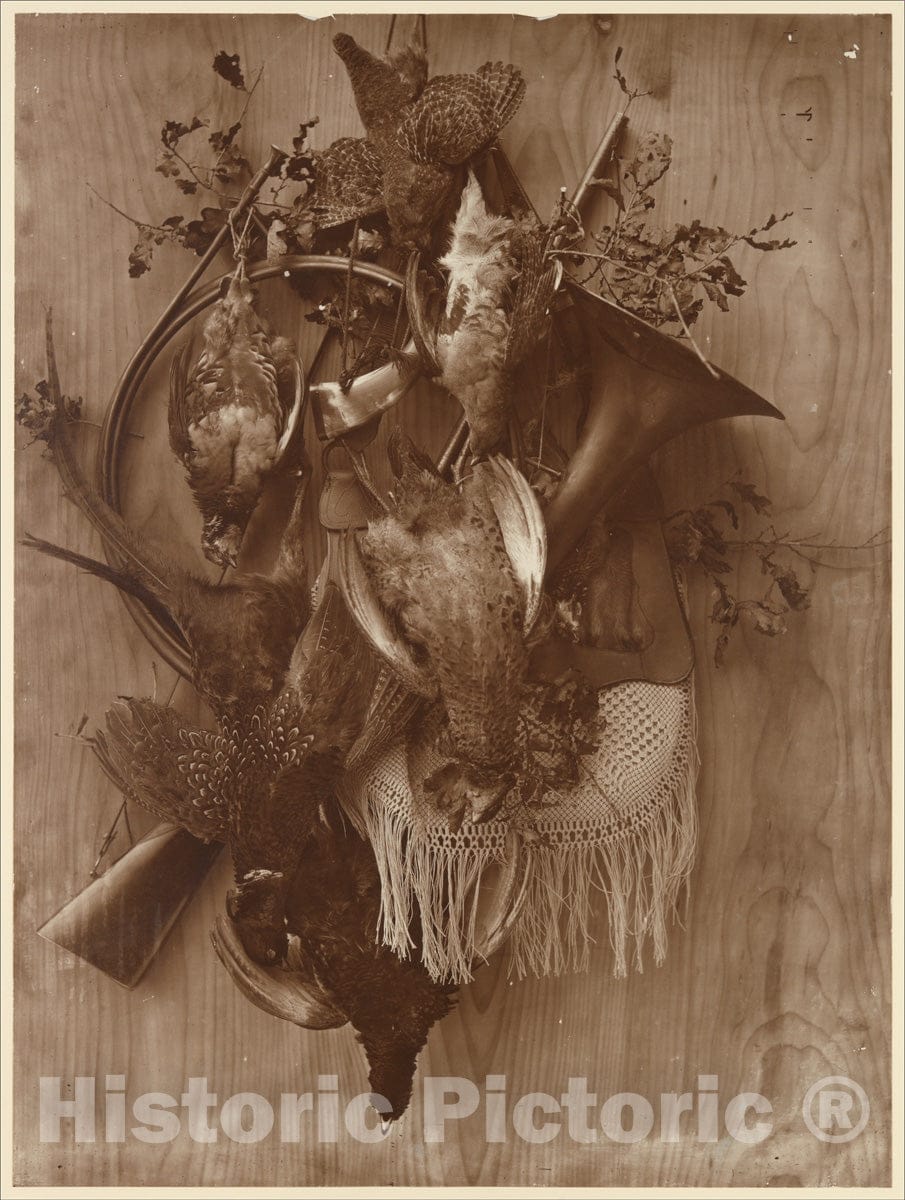 Photo Print : Adolphe Braun - Pheasant and Grouse : Vintage Wall Art