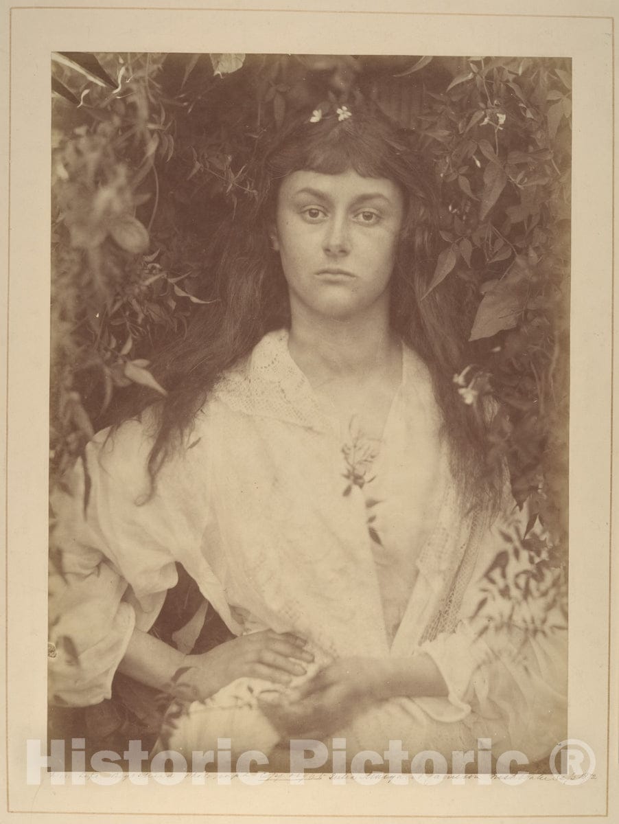 Photo Print : Julia Margaret Cameron - Pomona : Vintage Wall Art