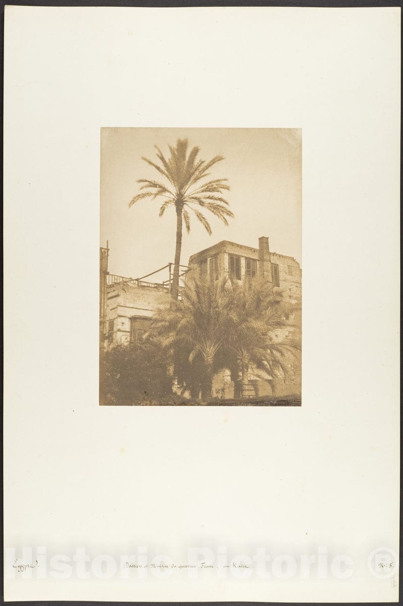 Photo Print : Maxime Du Camp - Dattiers et Maison du quartier Franc, au Kaire : Vintage Wall Art