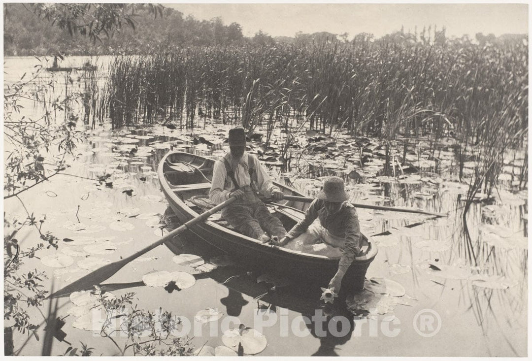 Photo Print : Peter Henry Emerson - Gathering Water-Lilies : Vintage Wall Art