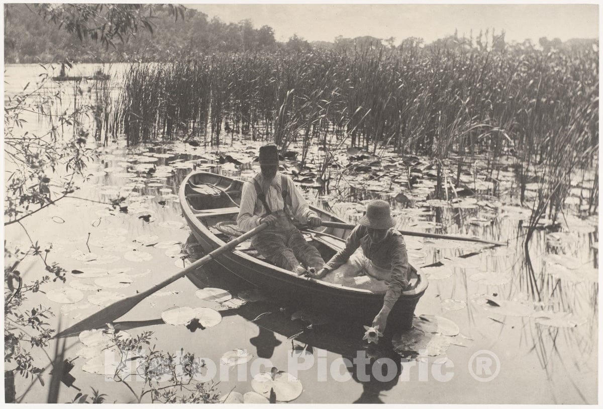 Photo Print : Peter Henry Emerson - Gathering Water-Lilies : Vintage Wall Art