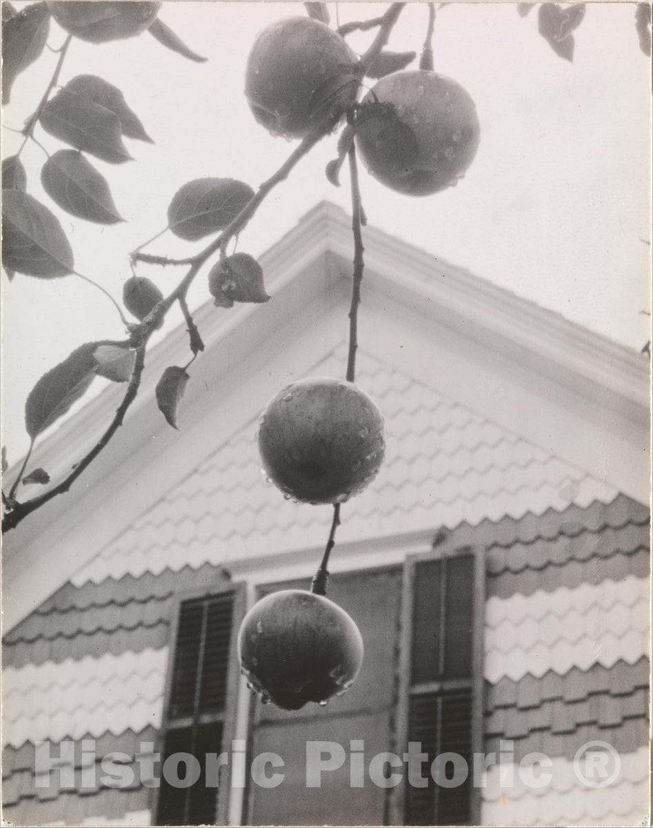 Photo Print : Alfred Stieglitz - Gable and Apples : Vintage Wall Art
