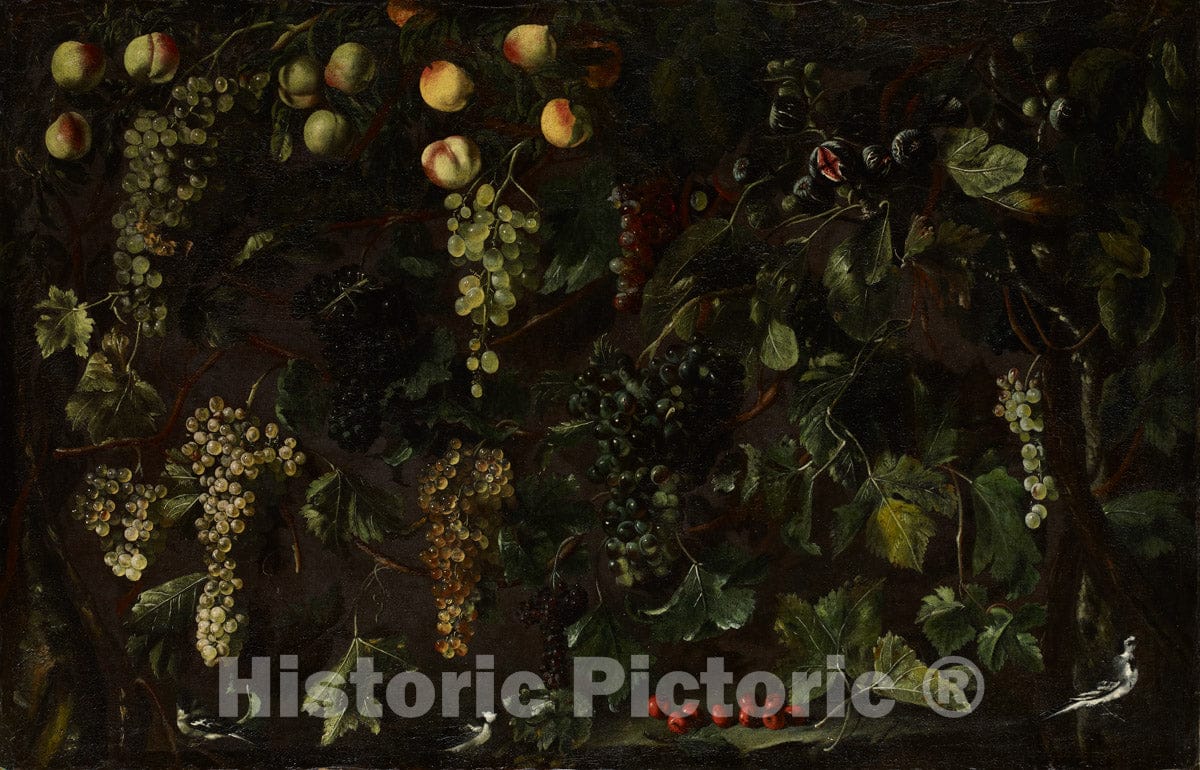 Art Print : Bartolomeo Cavarozzi - Grape Vines and Fruit, with Three Wagtails : Vintage Wall Art