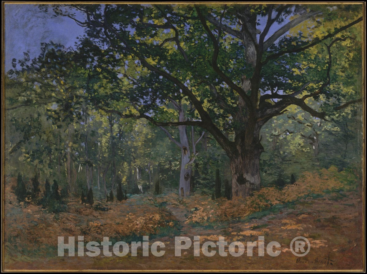 Art Print : Claude Monet - The Bodmer Oak, Fontainebleau Forest : Vintage Wall Art