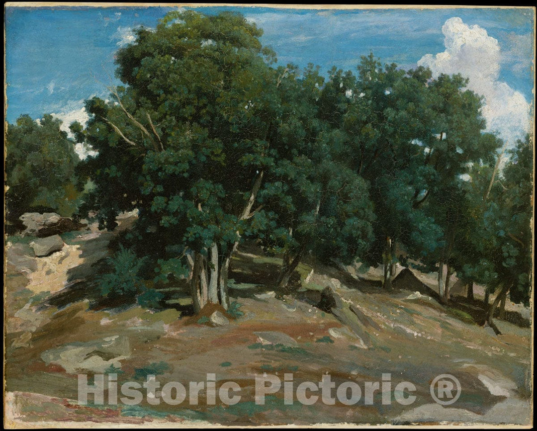 Art Print : Camille Corot - Fontainebleau: Oak Trees at Bas-Bréau : Vintage Wall Art