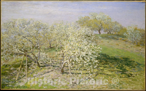 Art Print : Claude Monet - Spring (Fruit Trees in Bloom) : Vintage Wall Art