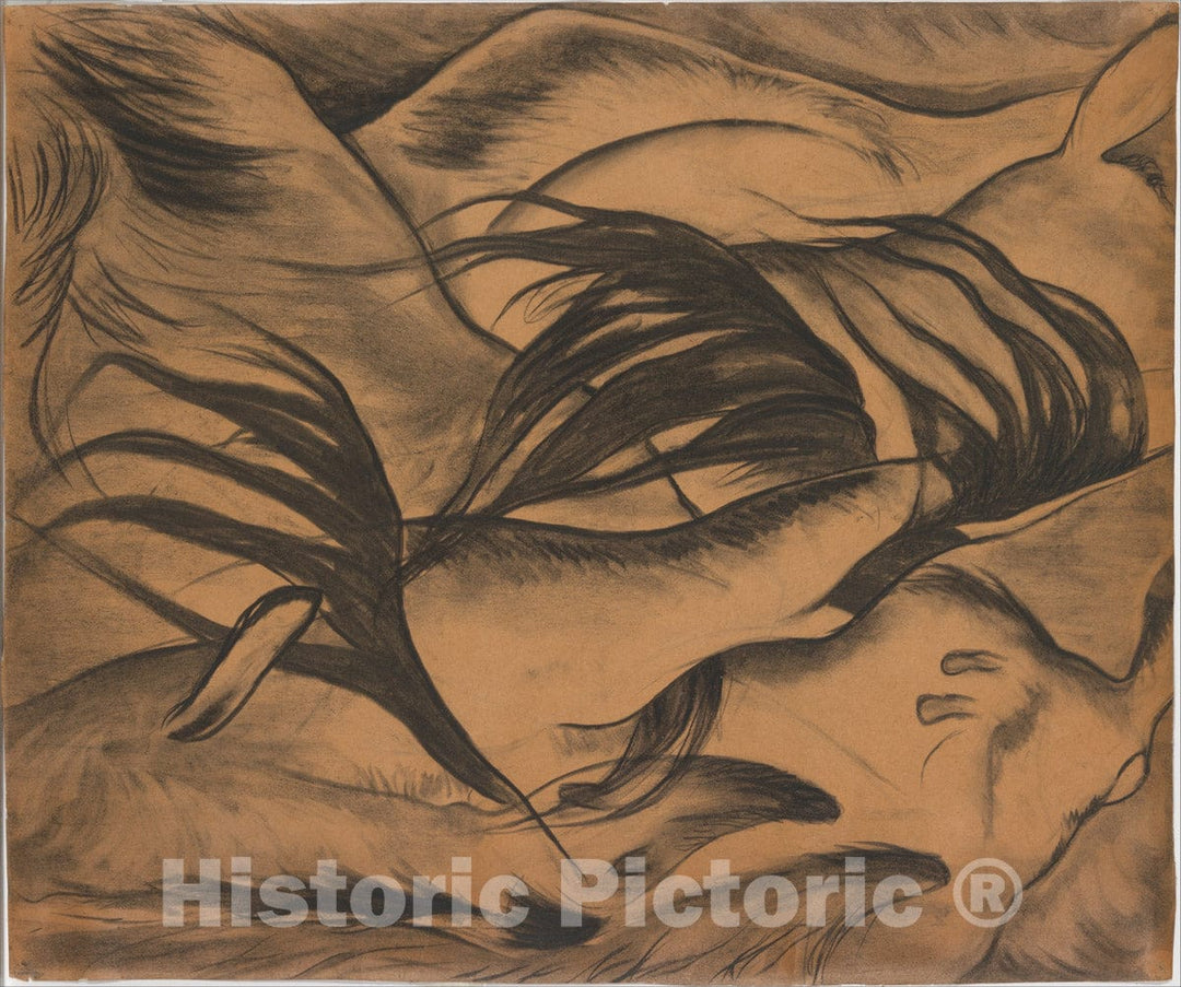 Art Print : Arthur Dove - Goats : Vintage Wall Art