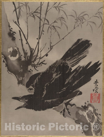 Art Print : Kawanabe Ky?sai - Crow on a Branch - Japan 1 : Vintage Wall Art