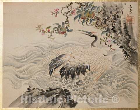 Art Print : Taki Katei - Flowers and Birds - Japan : Vintage Wall Art