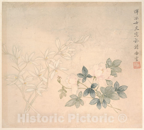 Art Print : Yun Bing - Flower Study - China 2 : Vintage Wall Art