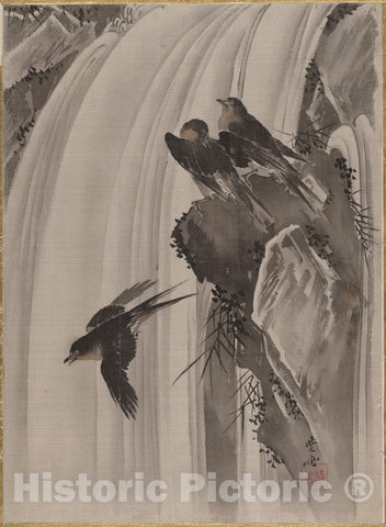 Art Print : Kawanabe Ky?sai - Swallows by a Waterfall - Japan : Vintage Wall Art