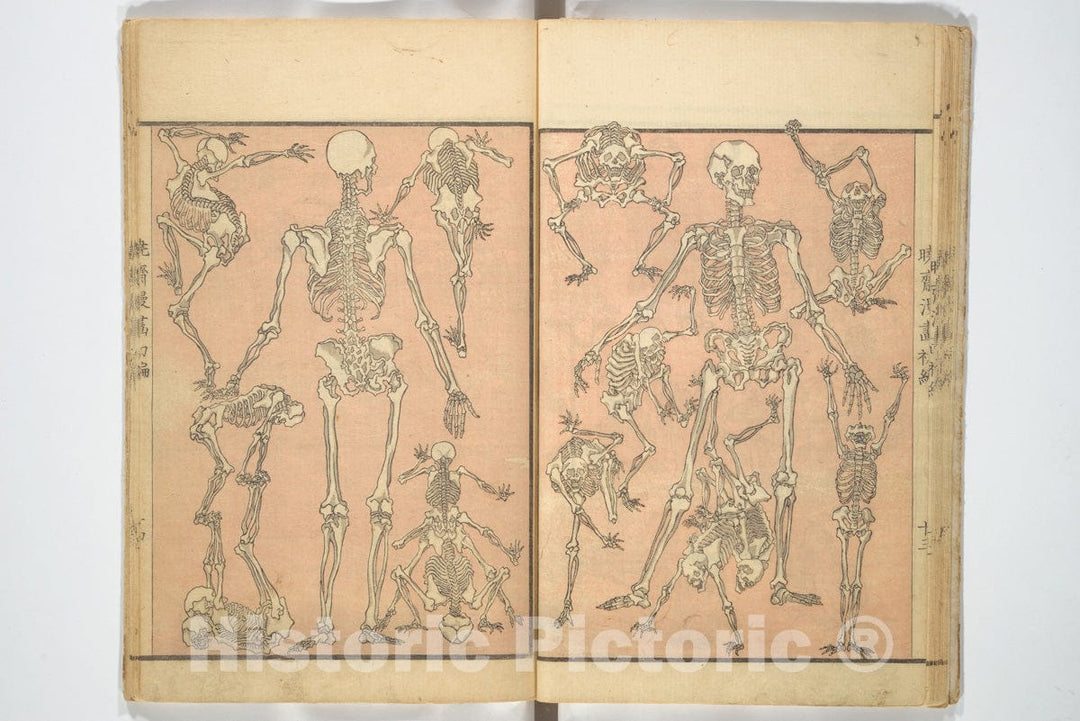 Art Print : Kawanabe Ky?sai - Ky?sai Sketchbook (Ky?sai Manga) - Japan : Vintage Wall Art